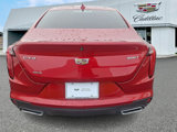 Used 2020 Cadillac CT4 Luxury w/ Sun And Sound Package image 3