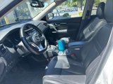 Used 2019 Nissan Rogue SL w/ Premium Package image 6
