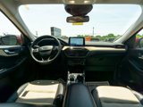 Used 2022 Ford Escape Titanium w/ Titanium Elite Package image 2