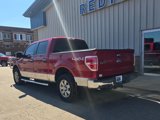 Used 2012 Ford F150 XLT w/ XLT Chrome Pkg image 4