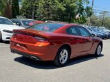 Used 2021 Dodge Charger SXT w/ Leather Interior Group image 5