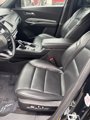 Used 2023 Cadillac XT4 Premium Luxury image 4