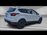 Used 2019 Ford Escape SE image 5