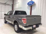 Used 2010 Ford F150 XLT image 6