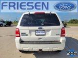 Used 2010 Ford Escape XLT image 6