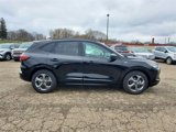 Used 2024 Ford Escape ST-Line w/ Cold Weather Package image 4