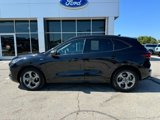 Used 2023 Ford Escape ST-Line w/ Cold Weather Package image 4