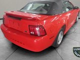 Used 2000 Ford Mustang Convertible image 4