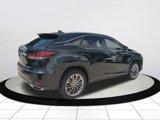 Certified 2021 Lexus RX 350 FWD w/ Luxury Package image 4