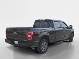 Used 2019 Ford F150 XLT w/ Equipment Group 302A Luxury image 3