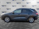 Used 2022 Ford Escape SE w/ Convenience Package image 2