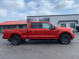 Used 2023 Ford F150 XLT w/ Equipment Group 302A High image 2