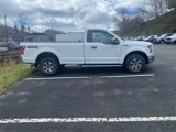 Used 2016 Ford F150 XLT image 4