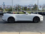 Used 2022 Ford Mustang Premium image 4