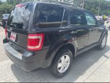 Used 2011 Ford Escape XLT w/ 203A Rapid Spec Order Code image 2