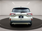 Used 2020 Ford Escape SE image 5