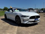 Certified 2023 Ford Mustang Premium image 3