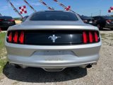 Used 2017 Ford Mustang Coupe image 4