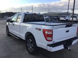 Certified 2023 Ford F150 XL w/ STX Appearance Package image 4