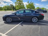 Used 2014 Honda Accord Sport image 5