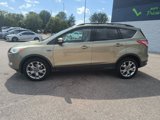 Used 2013 Ford Escape SEL image 2