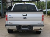 Used 2014 Ford F150 XLT w/ Equipment Group 302A Luxury image 4