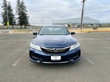 Used 2016 Honda Accord EX-L image 2