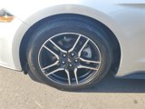Used 2019 Ford Mustang Premium image 2
