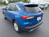 Used 2021 Ford Escape SE w/ Convenience Package image 5