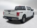Used 2017 Ford F150 XLT w/ Equipment Group 301A Mid image 5