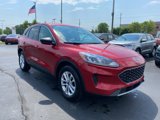 Certified 2022 Ford Escape SE image 3