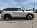 Used 2024 INFINITI QX60 Luxe w/ Vision Package image 3