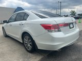 Used 2012 Honda Accord EX-L image 5