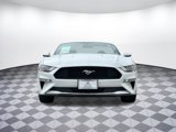 Used 2018 Ford Mustang Premium w/ Equipment Group 201A image 6