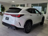 Used 2023 Lexus NX 350 AWD image 6