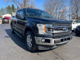 Used 2019 Ford F150 XLT w/ Equipment Group 302A Luxury image 4