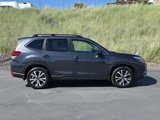 Used 2019 Subaru Forester Limited image 2