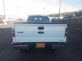 Used 2014 Ford F150 XLT image 5