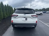 Used 2021 Ford Escape Titanium w/ Titanium Elite Package image 6