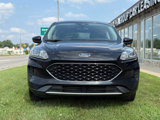 Used 2020 Ford Escape SE image 2