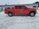 Used 2019 Ford F150 XLT w/ Equipment Group 302A Luxury image 5