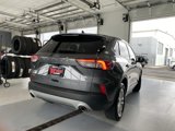 Used 2021 Ford Escape SE image 4