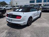 Used 2023 Ford Mustang Premium image 3