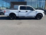 Used 2014 Ford F150 STX w/ Equipment Group 201A Mid image 2