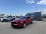 Used 2013 Ford Mustang GT Premium w/ Comfort Pkg image 2