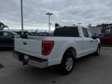 Certified 2022 Ford F150 XLT w/ Equipment Group 301A Mid image 5