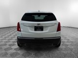 Used 2019 Cadillac XT5 Premium Luxury image 4