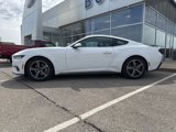 Used 2024 Ford Mustang Coupe image 2