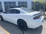 Used 2017 Dodge Charger SXT w/ Blacktop Package image 3