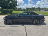 Used 2019 Ford Mustang Premium image 2